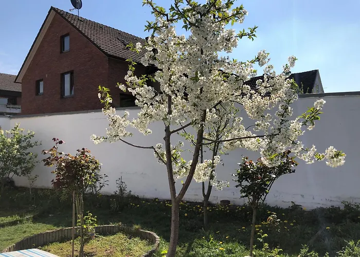 Kleve-kellen 1 Séjour chez l'habitant Clèves